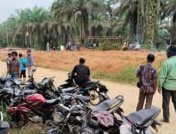 Satgas PKH Sita 47.000 Hektar Kebun Sawit Bermasalah di Padang Lawas, Sindikat Tanah Mulai Bermain