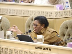 Wamendagri Ribka Haluk Ungkap Strategi Mitigasi PSU di Hadapan DPR