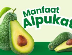 Alpukat, Buah Lokal Super Kaya Manfaat untuk Gaya Hidup Sehat