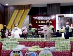 4 Ton Narkoba Asal Golden Triangle Disita di Perairan Indonesia