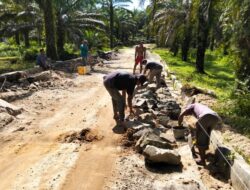 Diduga Asal Jadi, Proyek Tembok Penahan Tanah di Desa Padang Sipirok
