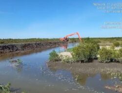 KTH Mardesa Diduga Rusak Hutan Lindung Pakai Beko