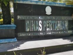Kebijakan PLT PSP Dinilai Rusak Ketahanan Pangan