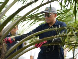 PalmCo Tancap Gas Tingkatkan ROA, Target 10 Persen pada 2029