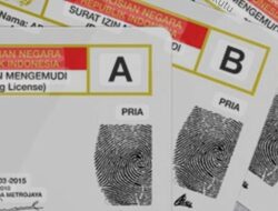 Bikin SIM Kini Wajib Sertifikat?