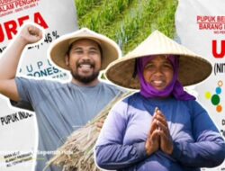 Distribusi Pupuk Disederhanakan, Petani Diuntungkan