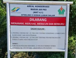 PalmCo Rawat 14 Ribu Hektare Hutan, Jadi Rumah Gajah hingga Harimau Sumatera