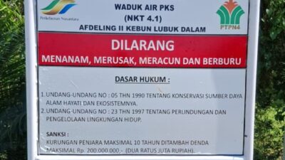 PalmCo Rawat 14 Ribu Hektare Hutan, Jadi Rumah Gajah hingga Harimau Sumatera
