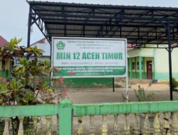 Heboh! Dugaan Pemalsuan Tanda Tangan Dana PIP di MIN 12 Aceh Timur
