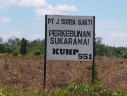 PT Surya Sakti dan Sri Perlak Terancam Sanksi Hukum