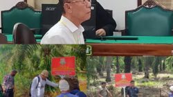 Vonis 10 Tahun, Perambah Hutan Langkat Diduga Masih Panen Sawit