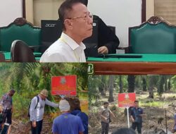 Vonis 10 Tahun, Perambah Hutan Langkat Diduga Masih Panen Sawit