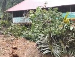 Harimotting Berduka, Minta Pertolongan