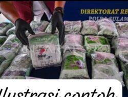 LPPN Labura Minta Kasat Narkoba Dicopot, Bandar Kuala Bangka Masih Bebas