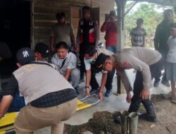 Surat Penghentian Diabaikan, Eksekusi Lahan Padang Halaban Tetap Jalan