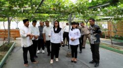 Al Markaz Jadi Contoh Reforma Agraria Produktif