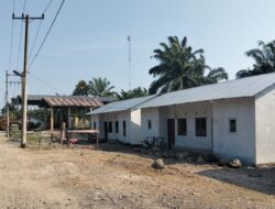 Kebun Sawit Labura Diduga Serobot Kawasan Hutan