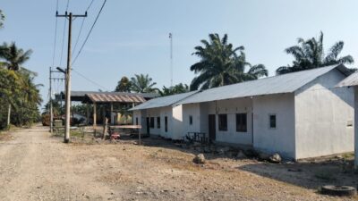 Kebun Sawit Labura Diduga Serobot Kawasan Hutan