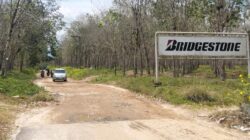 Sorotan Plasma & Hunian di Kebun 4.000 Ha Bridgestone Asahan