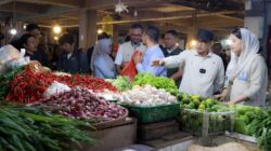 Harga Cabai Melonjak di Ciputat, Wamendag Turun Tangan