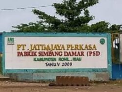 Misteri 14 Tahun Kebun Plasma PT Jatim Jaya Perkasa di Rokan Hilir