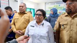 Pemerintah Percepat Pembenahan RS di Papua, Fokus Tata Kelola Kesehatan