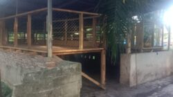 Dugaan Penyelewengan Dana BUMDes di Labusel, Program Ternak Kambing Desa Bunut Disorot