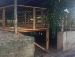 Dugaan Penyelewengan Dana BUMDes di Labusel, Program Ternak Kambing Desa Bunut Disorot