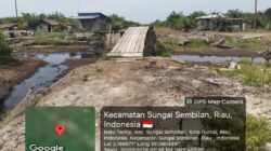 Jejak Sawit di Hutan Dumai: Bantahan Pejabat, Dugaan Sindikat Tanah Menguat