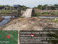 Jejak Sawit di Hutan Dumai: Bantahan Pejabat, Dugaan Sindikat Tanah Menguat