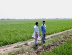 Cek Lahan Industri di Indramayu