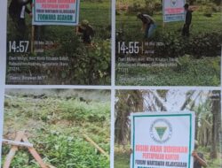 Plank Forwaka Asahan Hilang Usai Ancaman, Aroma Konflik Lahan Eks HGU BSP Menguat