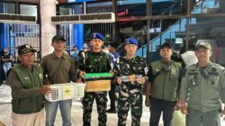 TNI AL Gagalkan Penyelundupan 8 Satwa Dilindungi di KM Gunung Dempo, Disembunyikan dalam Botol dan Koper