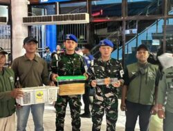 TNI AL Gagalkan Penyelundupan 8 Satwa Dilindungi di KM Gunung Dempo, Disembunyikan dalam Botol dan Koper