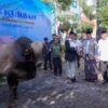 Nusron Wahid Serahkan Hewan Kurban Presiden ke Ponpes Darunnajah