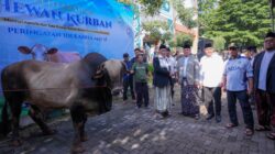 Nusron Wahid Serahkan Hewan Kurban Presiden ke Ponpes Darunnajah
