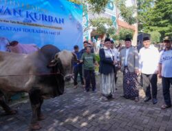 Nusron Wahid Serahkan Hewan Kurban Presiden ke Ponpes Darunnajah
