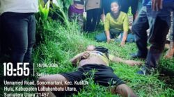 Warga Labura Tewas Diduga Dikeroyok Oknum Keamanan Agrinas Palma Nusantara, Empat Pelaku Diamankan
