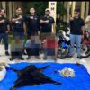 Polres Simalungun Bongkar Perdagangan Satwa Dilindungi, 30 Kg Sisik Trenggiling Disita