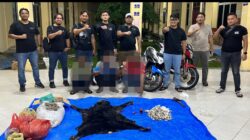 Polres Simalungun Bongkar Perdagangan Satwa Dilindungi, 30 Kg Sisik Trenggiling Disita