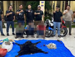 Polres Simalungun Bongkar Perdagangan Satwa Dilindungi, 30 Kg Sisik Trenggiling Disita