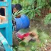 Sopir Becak Tewas Tabrak Pohon di Tebingtinggi, Drum Diduga Limbah PKS Raib dari Pos Laka