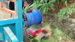 Sopir Becak Tewas Tabrak Pohon di Tebingtinggi, Drum Diduga Limbah PKS Raib dari Pos Laka