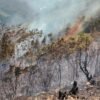 Musa Boma Mapiha Kutuk Pembakaran Hutan di Papua Tengah