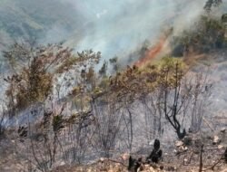 Musa Boma Mapiha Kutuk Pembakaran Hutan di Papua Tengah