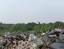Sampah Menggunung di Babakan, DLH Tangsel Janji Cek Lokasi, Warga Menunggu