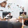 Ribka Haluk Kejar Akta Kelahiran 100 Persen